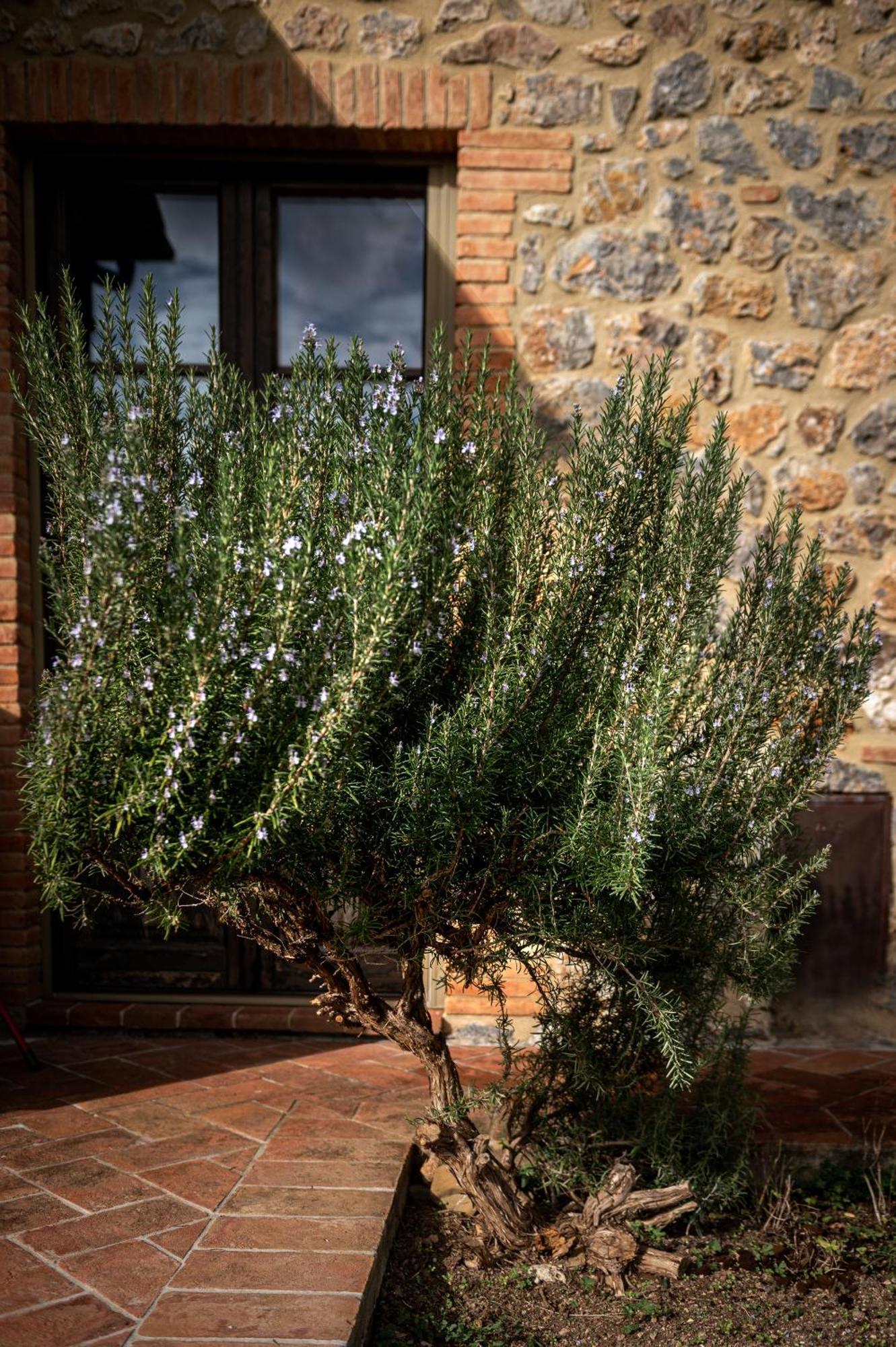 Tenuta Aronne Massa Marittima Bagian luar foto