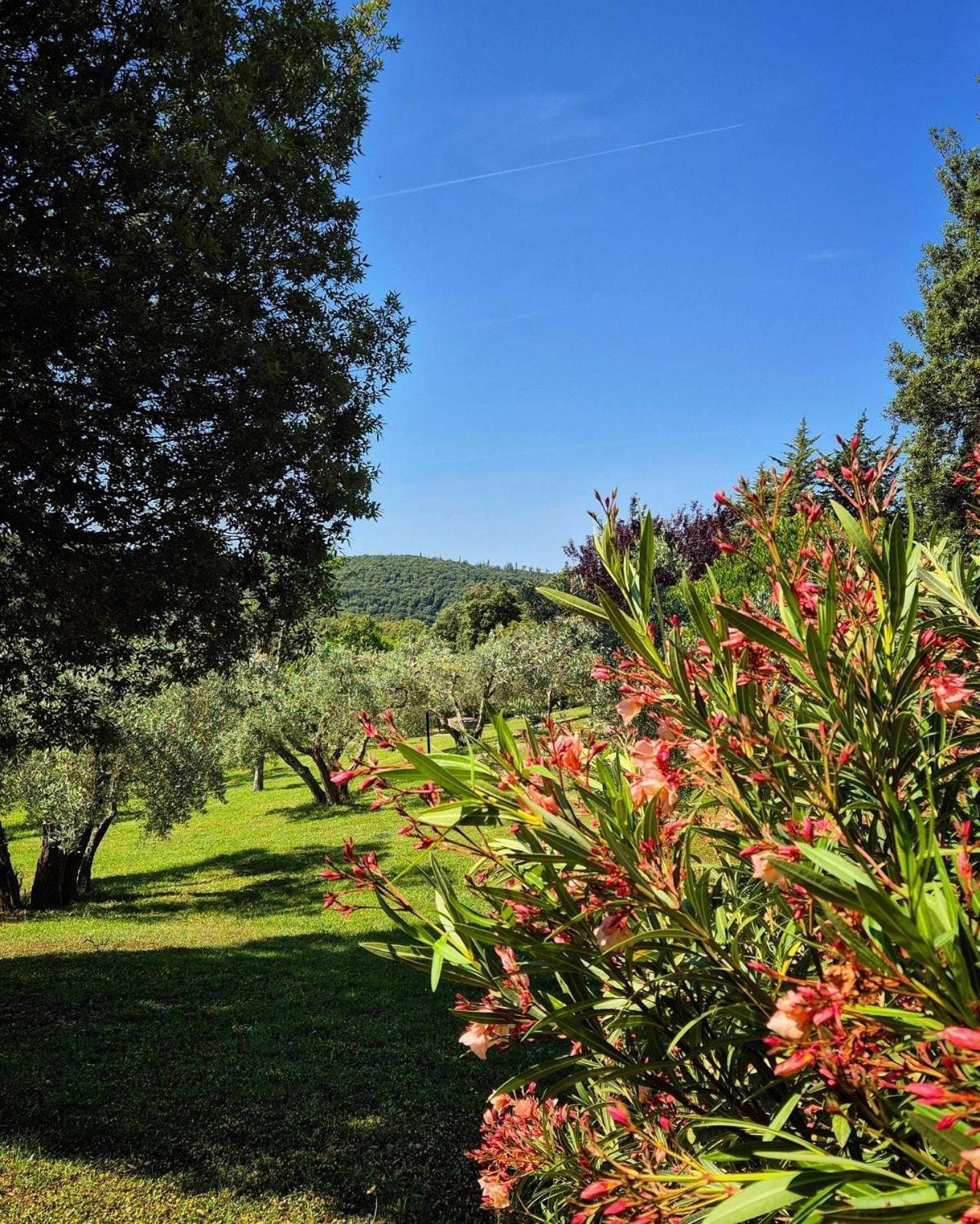 Tenuta Aronne Massa Marittima Bagian luar foto