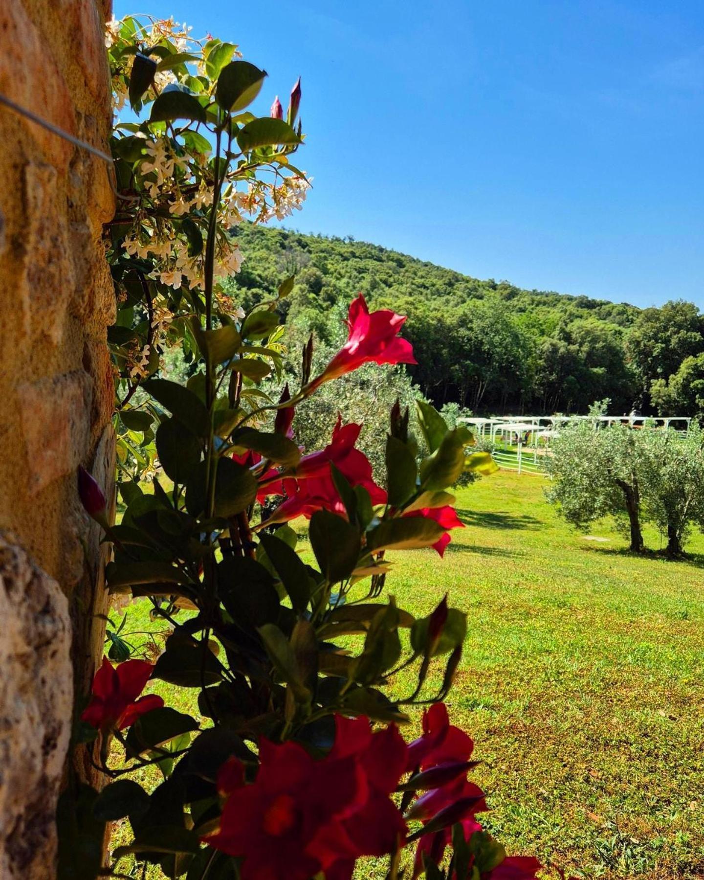 Tenuta Aronne Massa Marittima Bagian luar foto